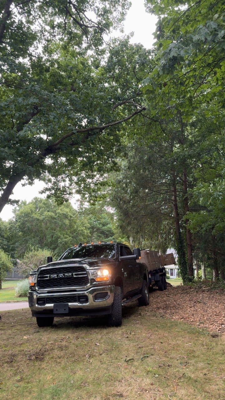 Transform Your Garden with Expert Mulching Services image