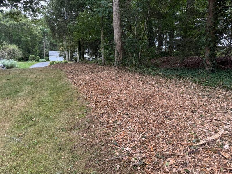 Gallery photos for Transform Your Garden with Expert Mulching Services: Image #1