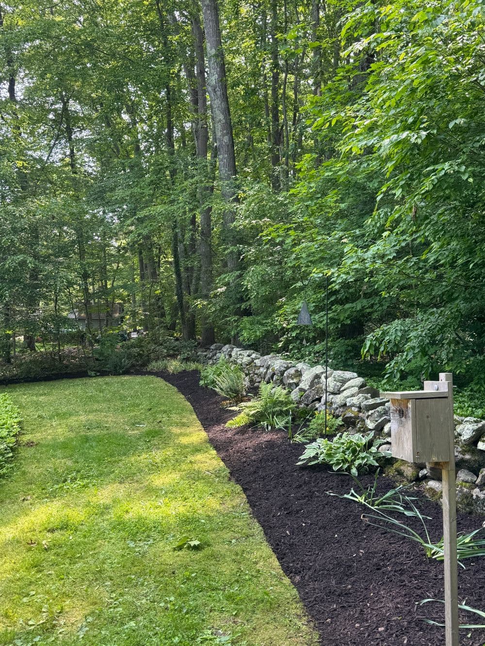 Lush garden with a stone wall, surrounded by tall trees and fresh black mulch.