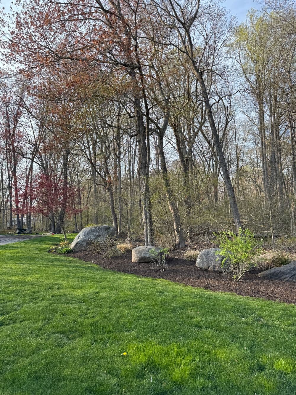 Lush green lawn with large stones and trees in a tranquil garden setting.