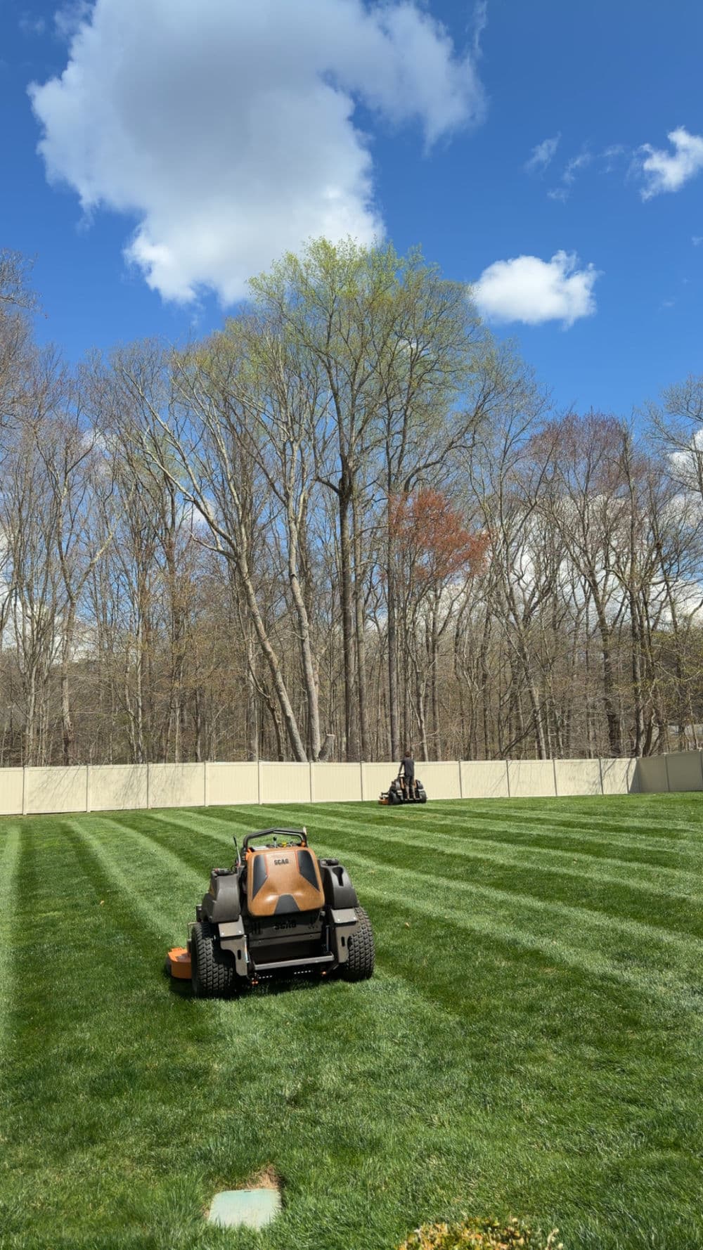 Lawn mower on freshly cut grass with trees and blue sky in the background.