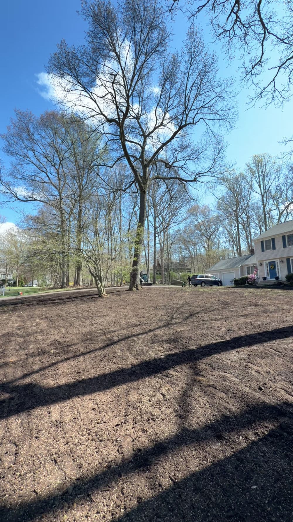 Spring landscape with a large tree, freshly prepared soil, and a residential home.