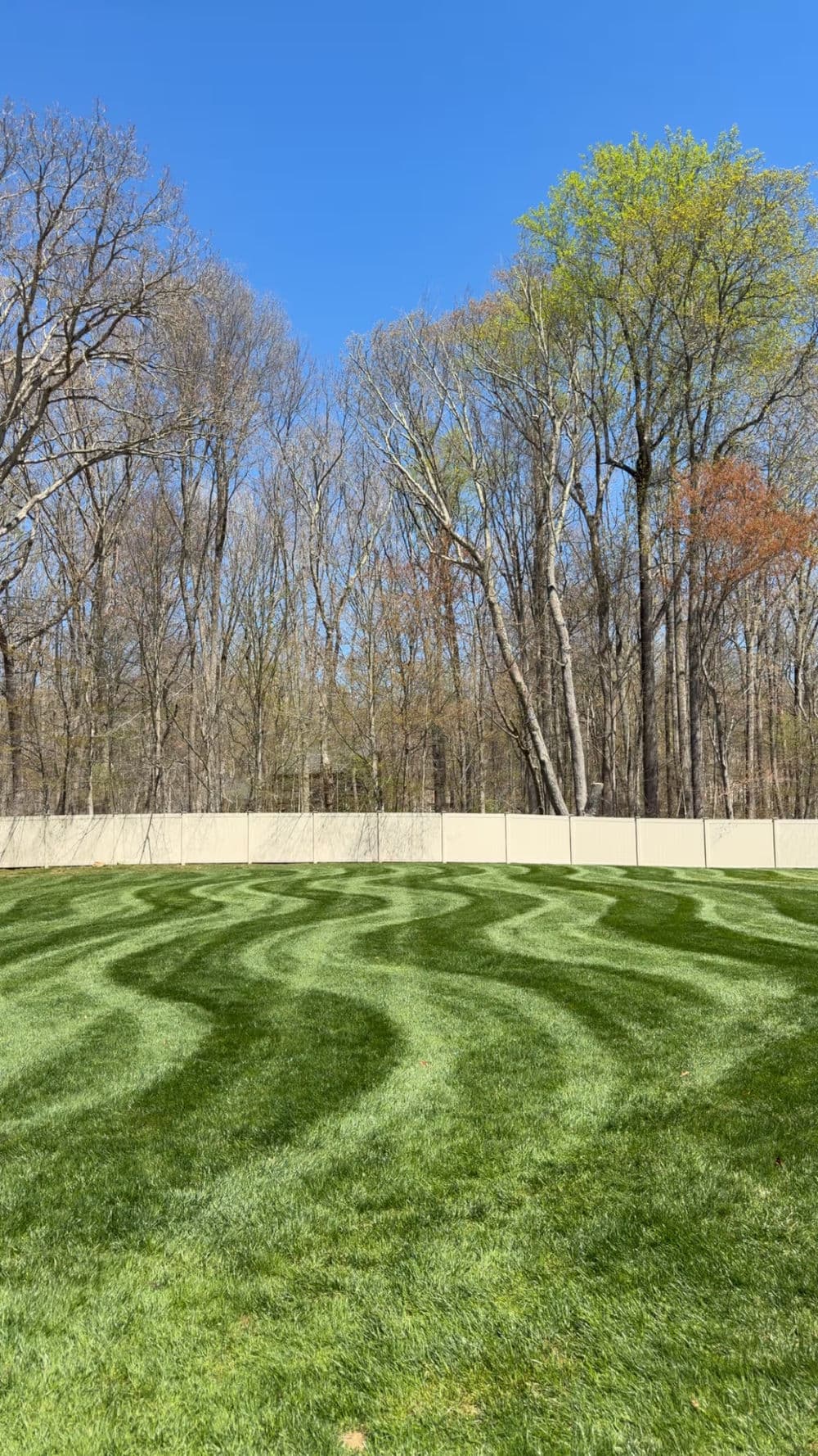 Lush green lawn with wavy patterns under a clear blue sky and wooded backdrop.