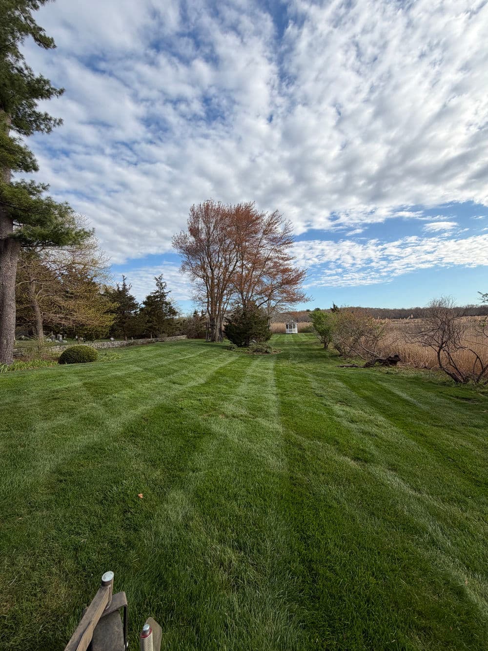 Lush green lawn with striped pattern, trees, and clouds in a scenic outdoor landscape.