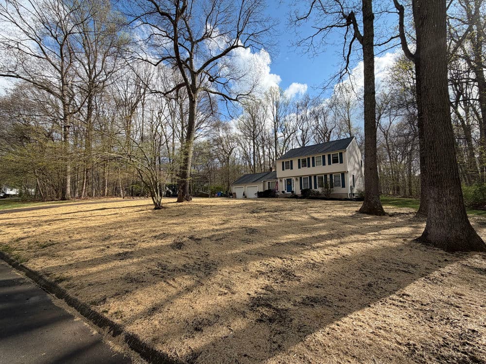 White two-story house with a landscaped yard in a wooded area on a sunny day.