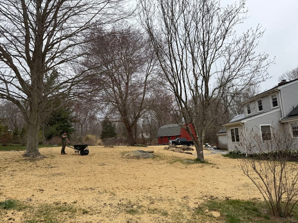 Person using a wheelbarrow on a landscape with trees and a house in a rural setting.