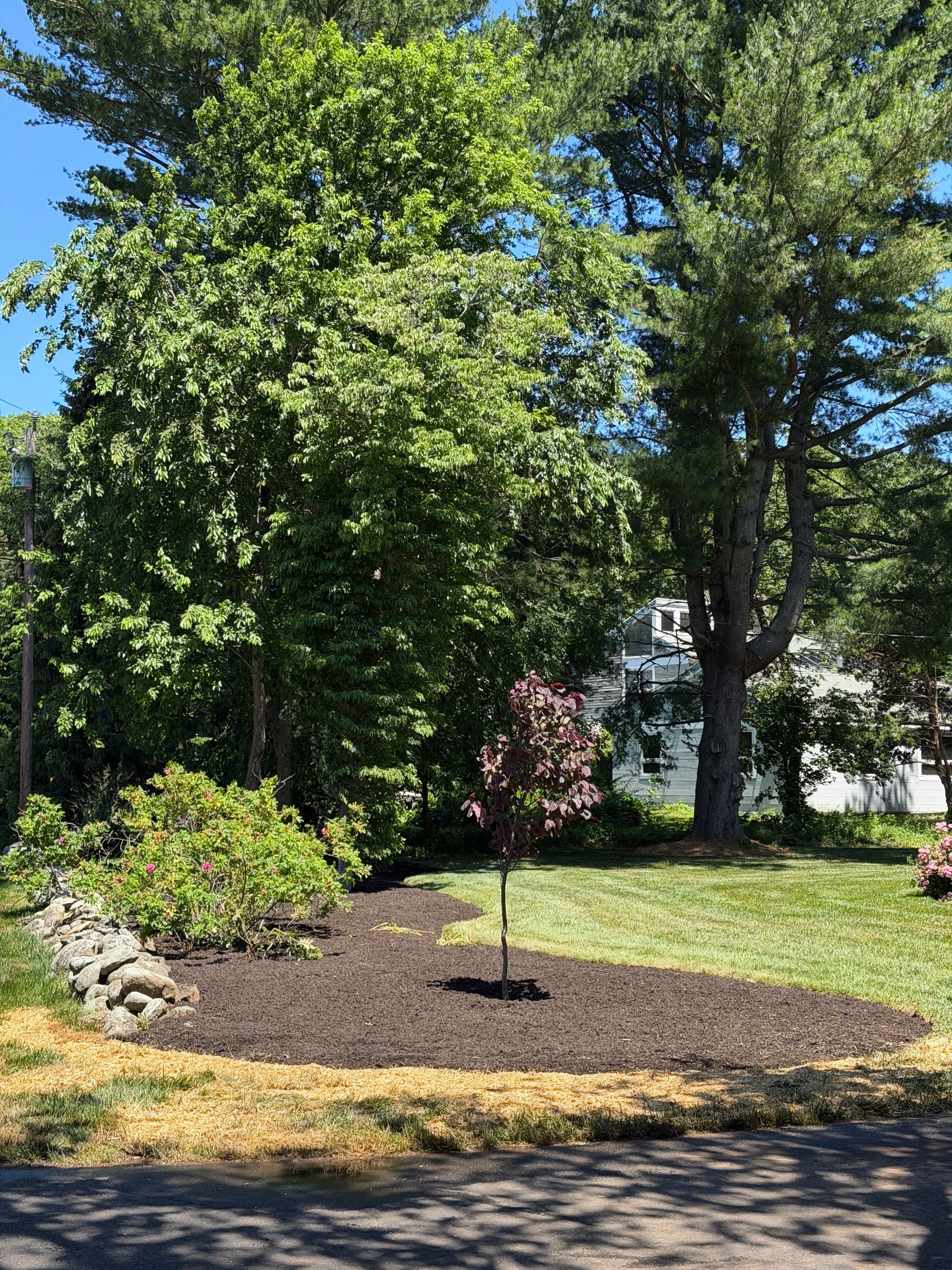 Gallery photos for Full Landscape Cleanup and Bed Refresh in Guilford CT: Image #1