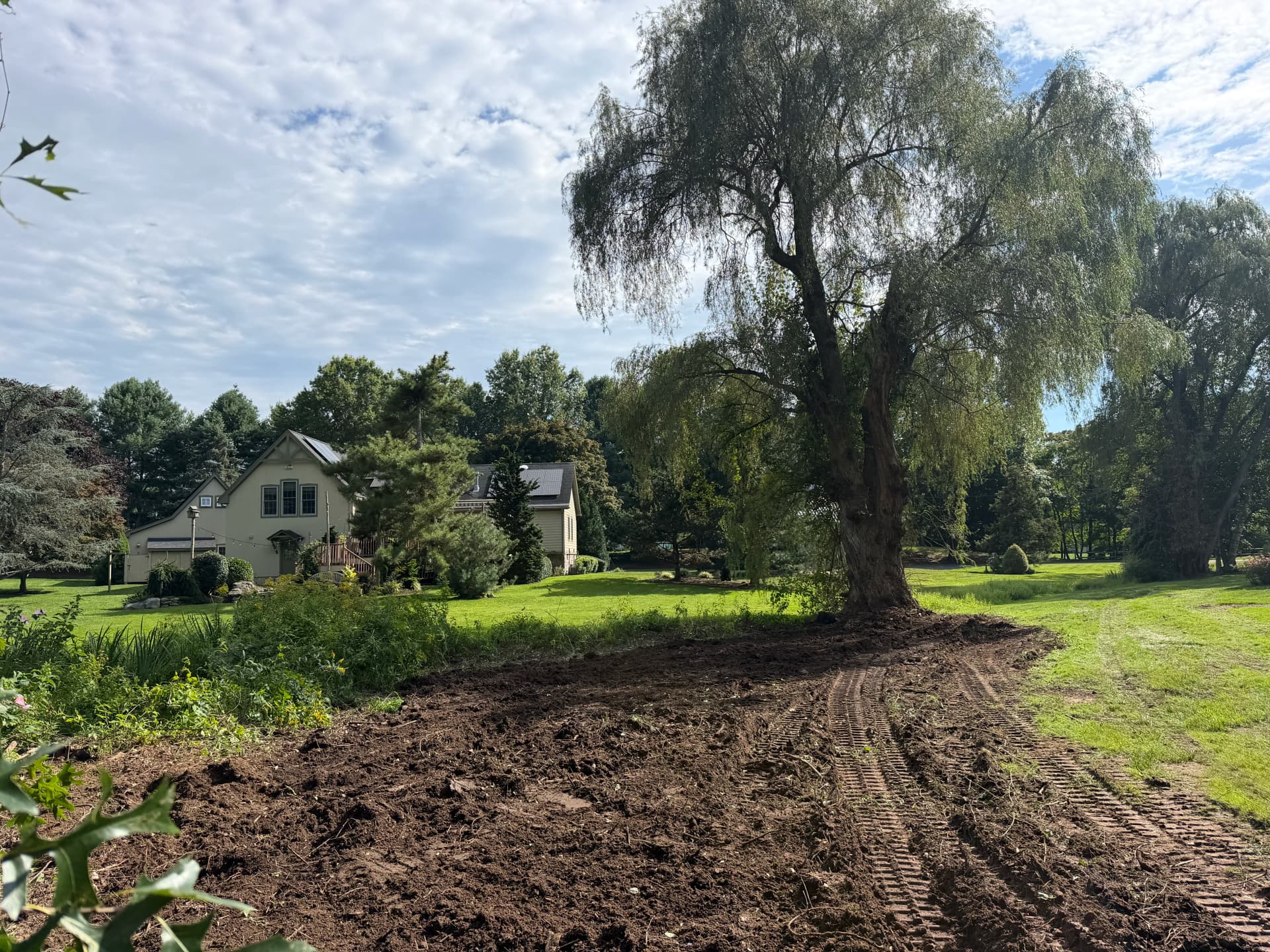 Overgrown Brush Cleared Out on a Guilford Property image