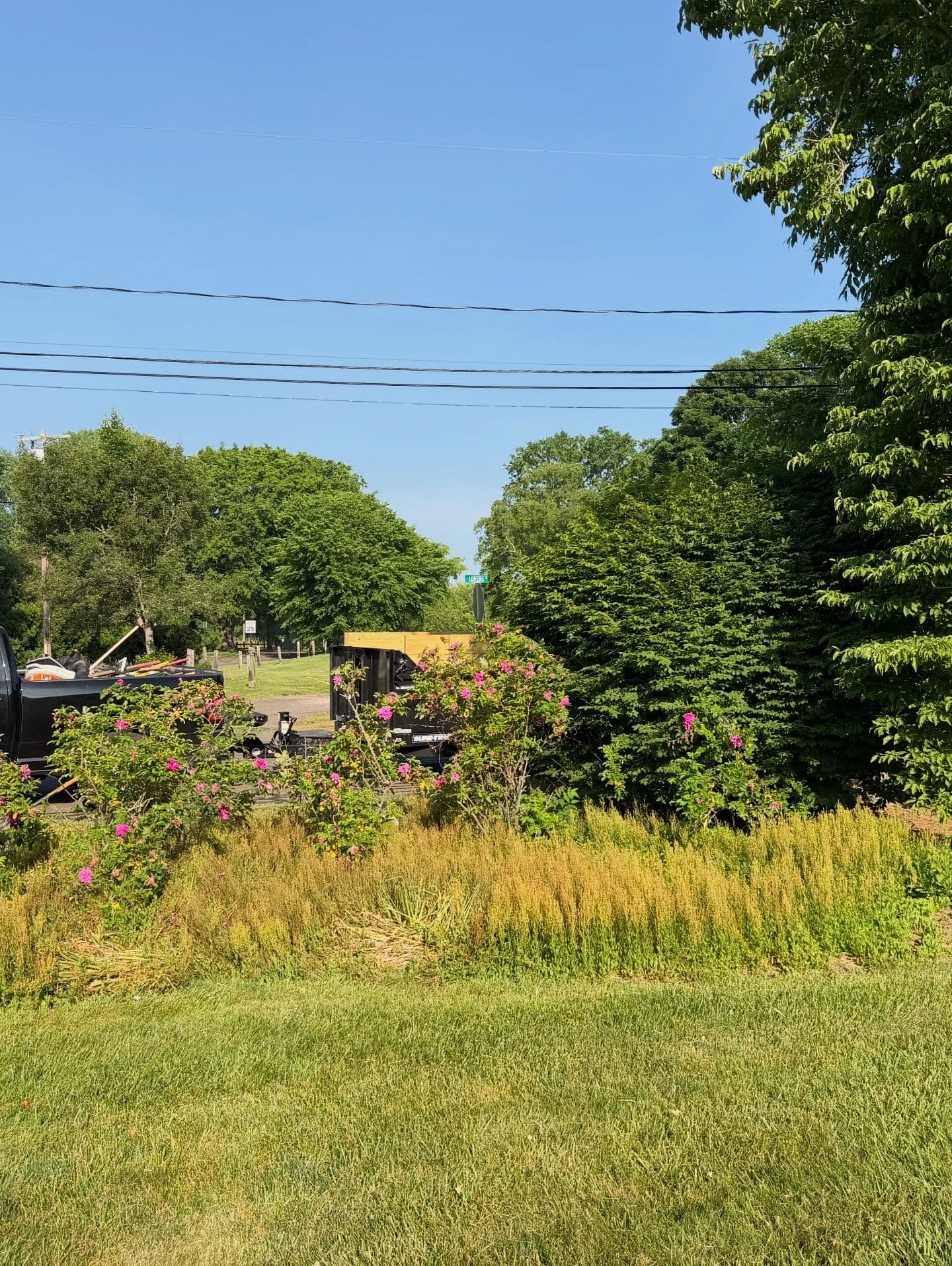 Gallery photos for Full Landscape Cleanup and Bed Refresh in Guilford CT: Image #3