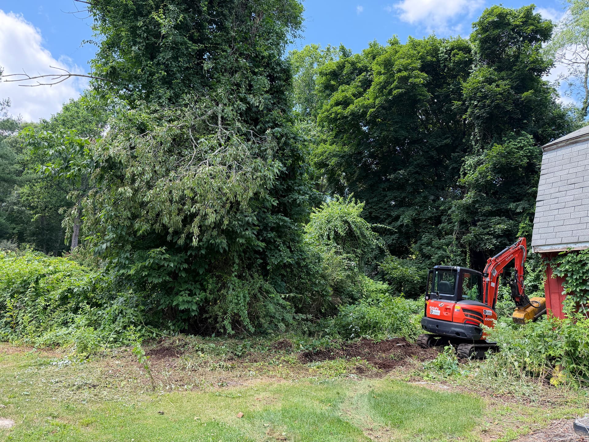Gallery photos for Forestry Mulching and Brush Clearing in Madison Opens Up Overgrown Property: Image #1