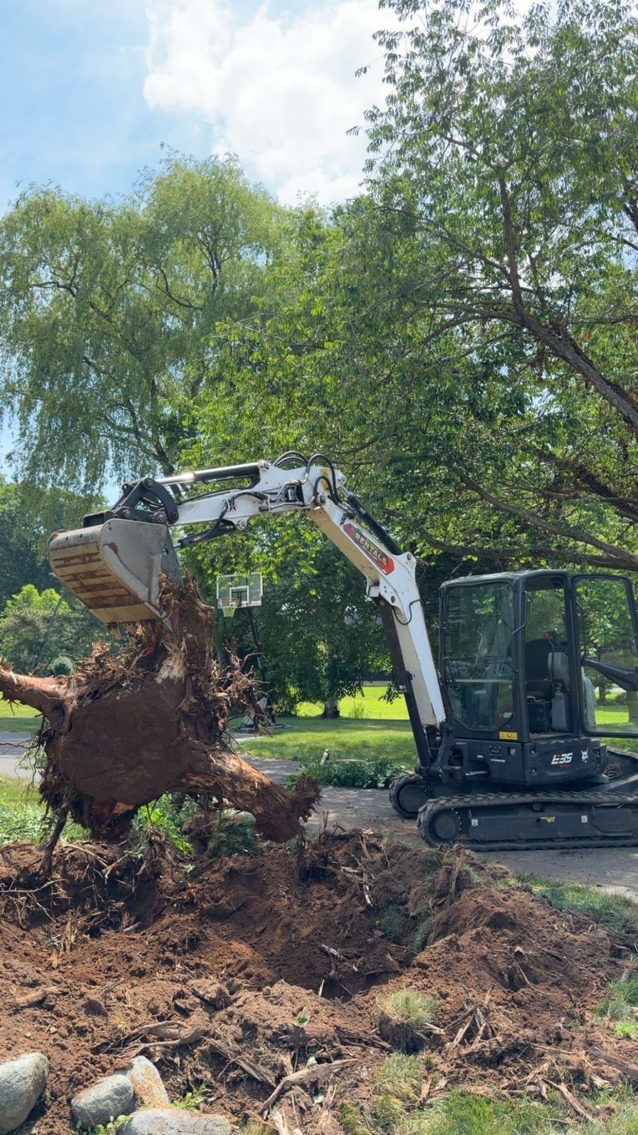 Full Landscape Cleanup and Bed Refresh in Guilford CT image