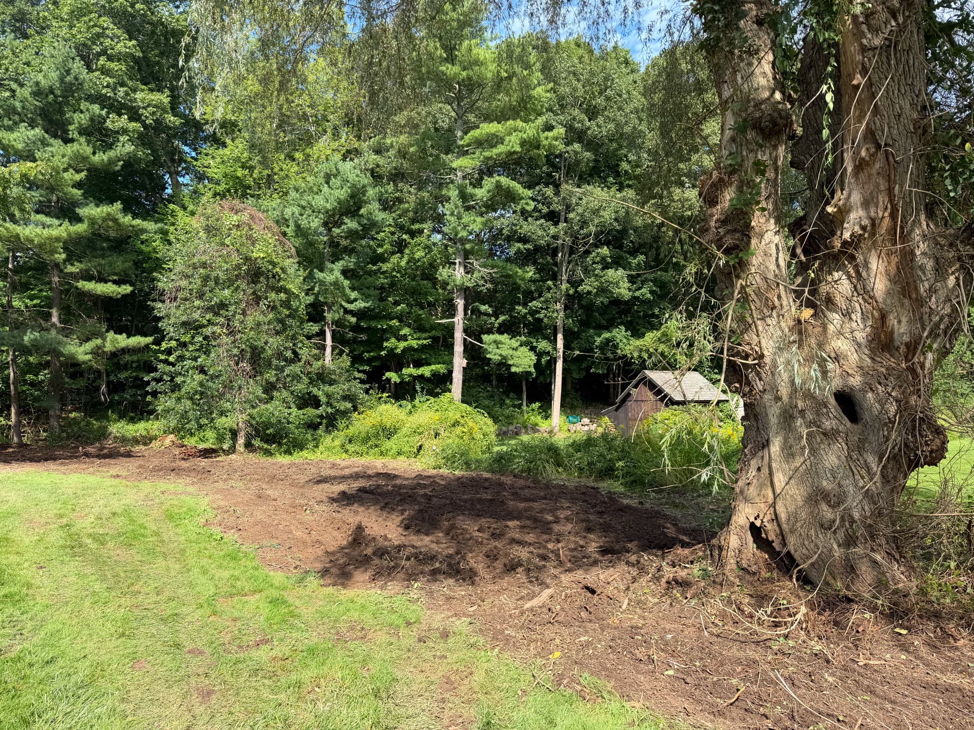 Gallery photos for Overgrown Brush Cleared Out on a Guilford Property: Image #2