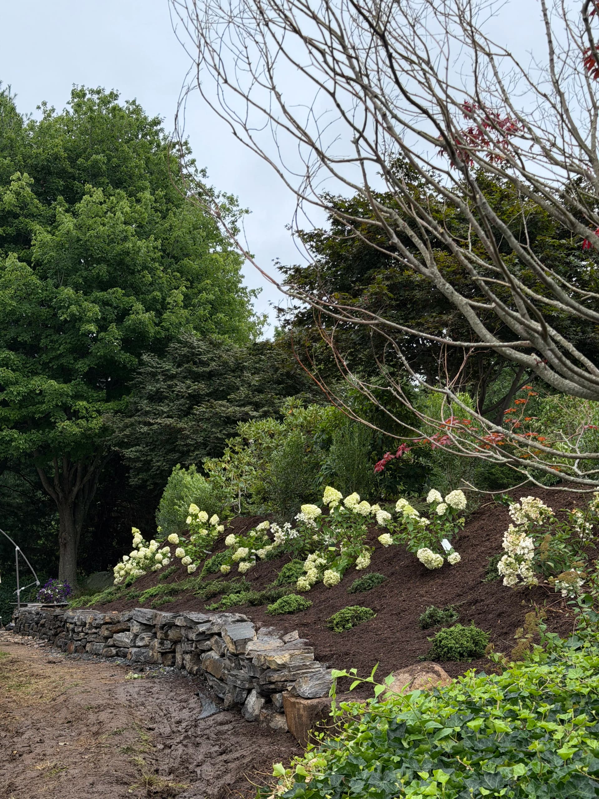 Gallery photos for Vermont Crystal Dry Stack Wall with Plantings and Mulch: Image #2