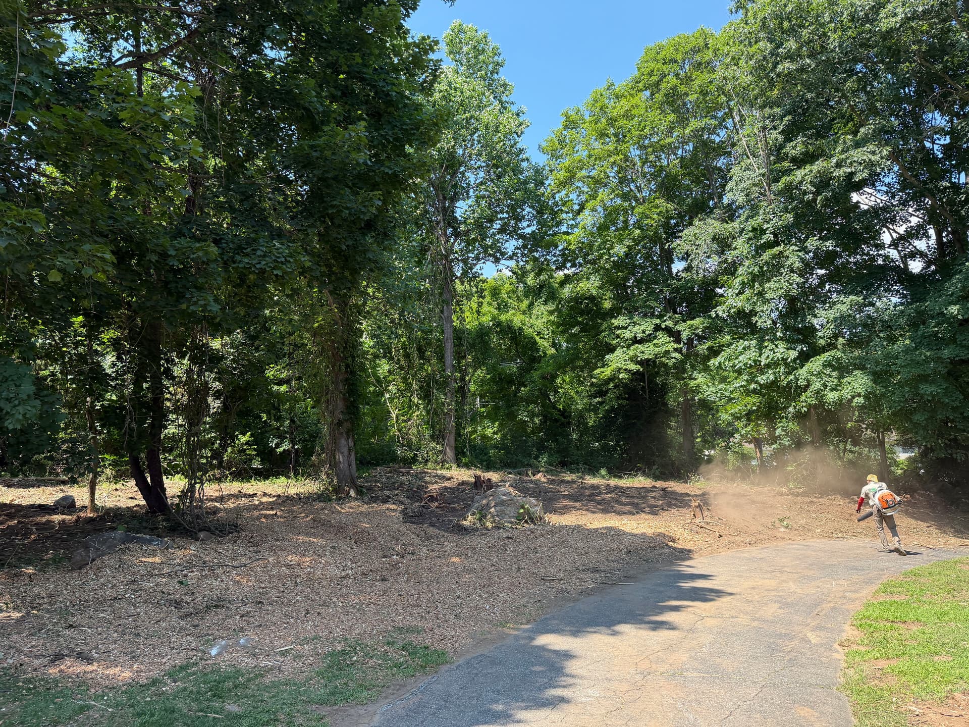 Gallery photos for Forestry Mulching and Brush Clearing in Madison Opens Up Overgrown Property: Image #2
